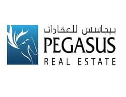 Pegasus Real Estate