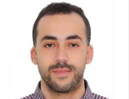 Mohamed Al Awady