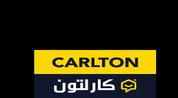 Carlton Real Estate logo image