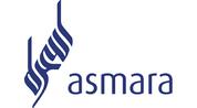 Asmara Real Estate logo image