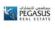 Pegasus Real Estate logo image
