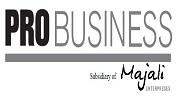 Pro Business Center logo image