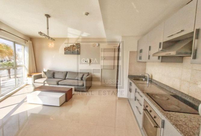 955521 - Property Image 2