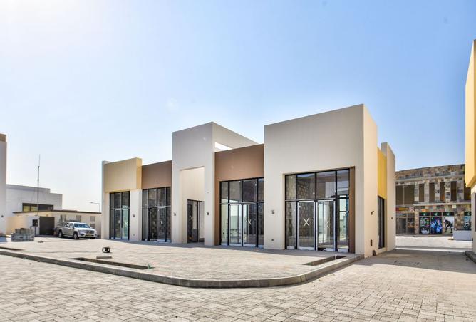 966426 - Property Image 3