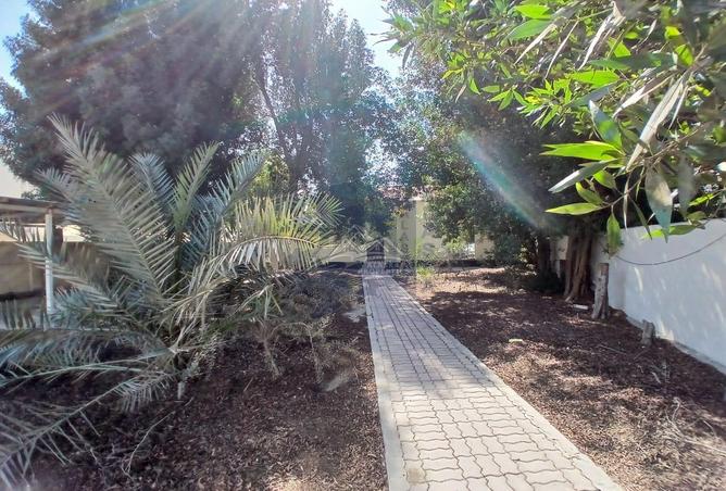 907249 - Property Image 3