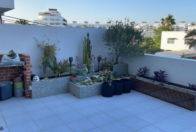 955375 - Property Image 2