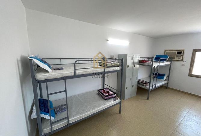 953352 - Property Image 3