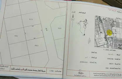 أرض - استوديو للبيع في راس زوييد - المحافظة الجنوبية