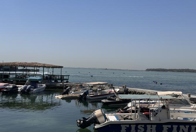 961491 - صورة العقار 3