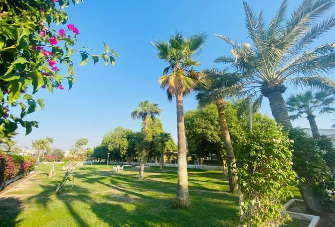 961966 - صورة العقار 2