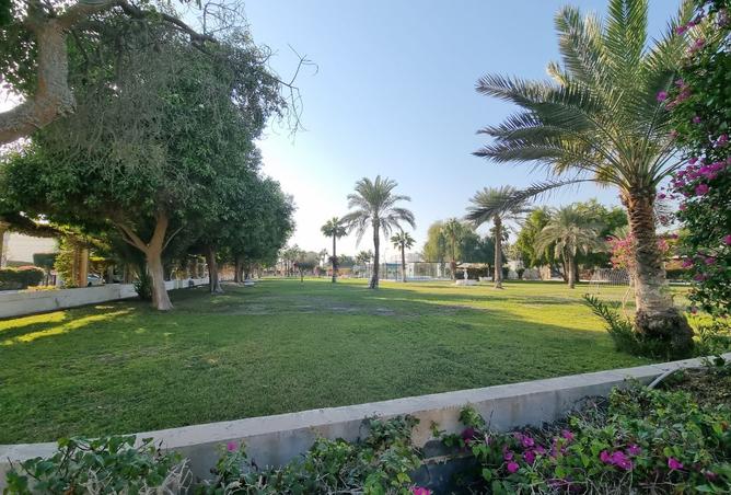 978109 - Property Image 3