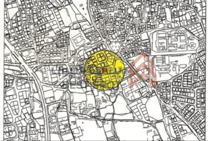 950987 - Property Image 3