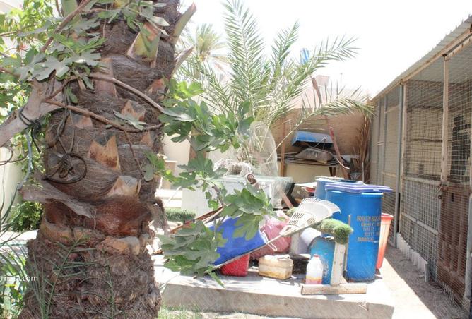 956484 - صورة العقار 2