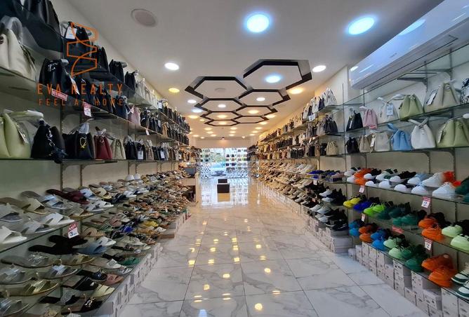 972033 - Property Image 3