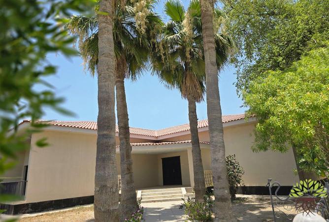 987969 - Property Image 2