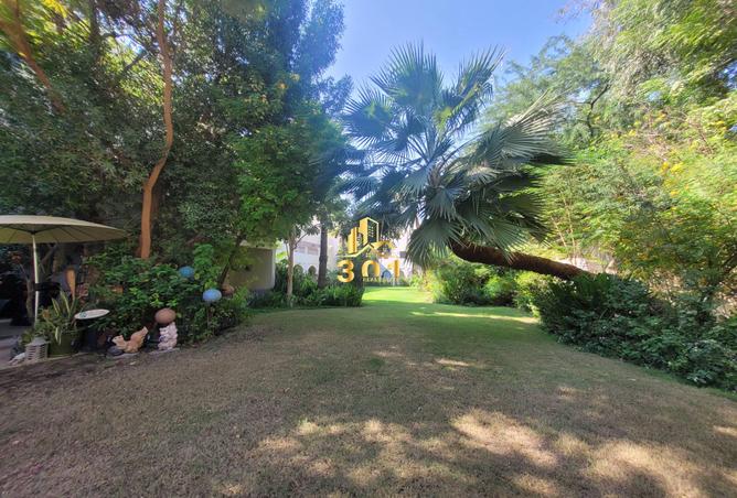 966290 - Property Image 3