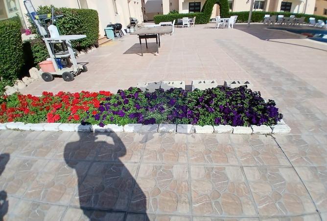 887088 - صورة العقار 2