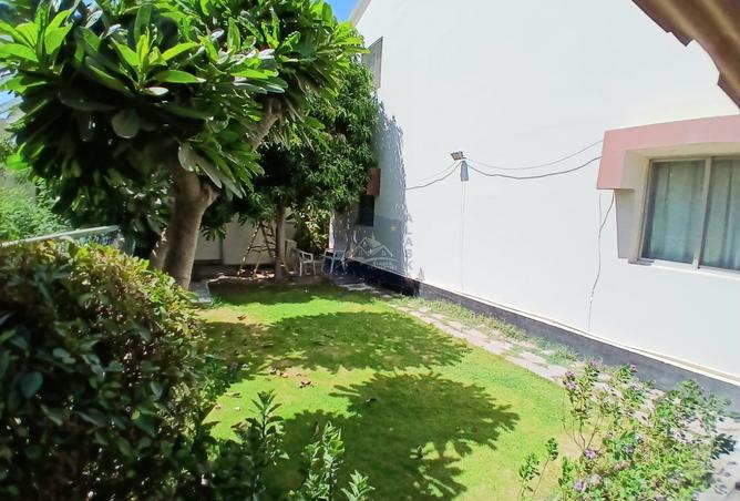 933520 - Property Image 3