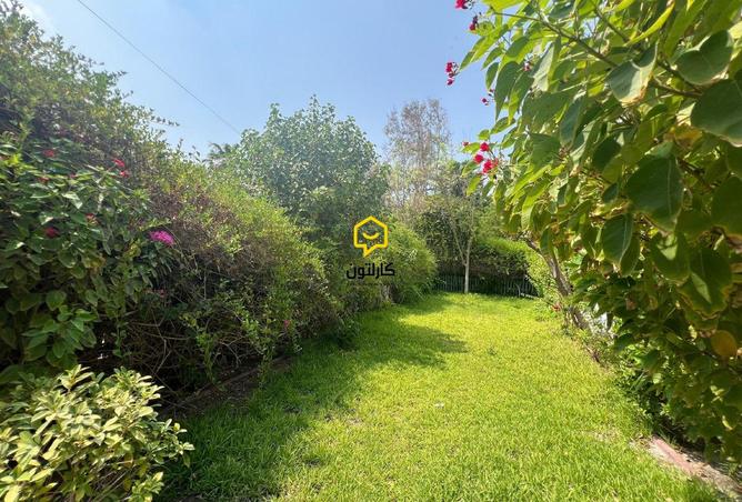 957430 - صورة العقار 3