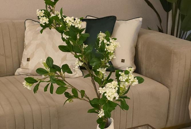 961130 - Property Image 3