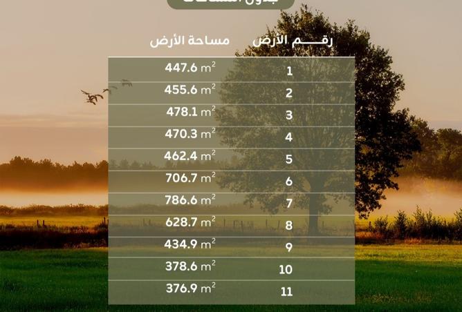 976189 - Property Image 3