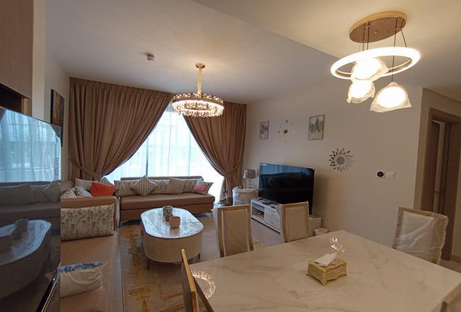 955929 - Property Image 2
