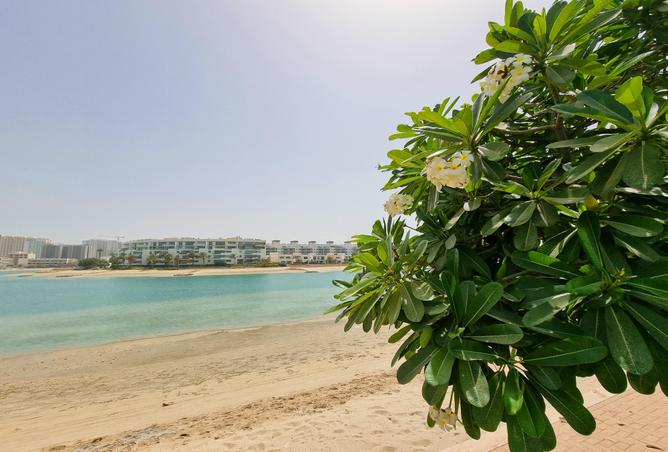 955546 - صورة العقار 2