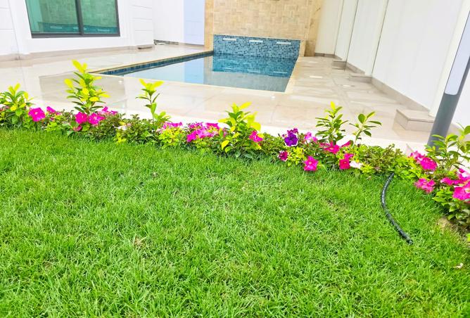 966881 - صورة العقار 3