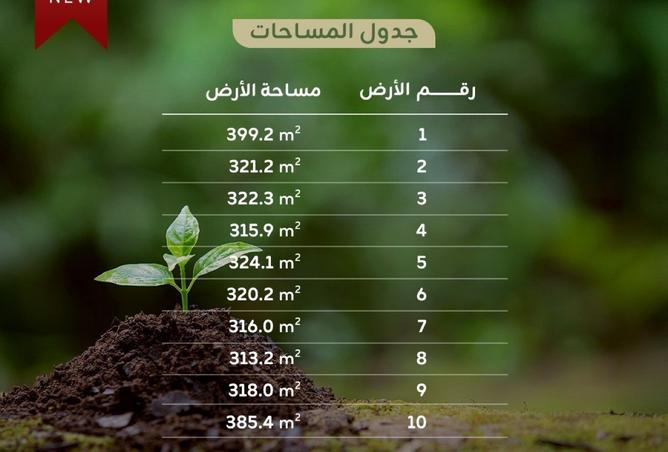 988281 - Property Image 3