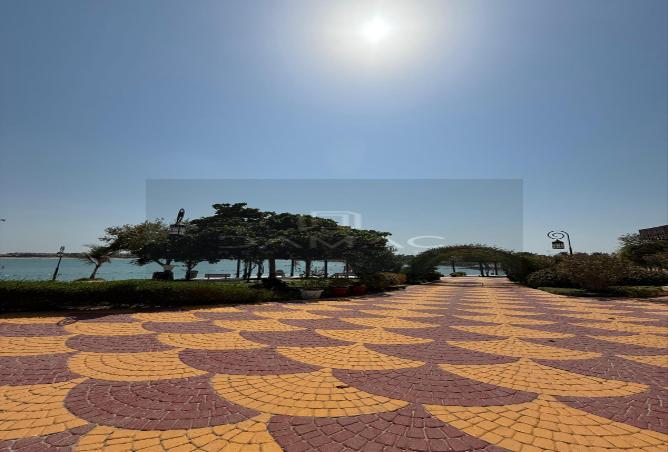 955564 - Property Image 3