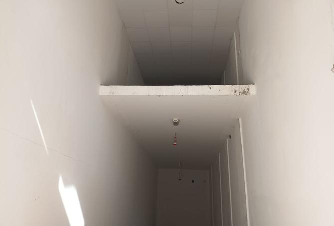 965199 - Property Image 2