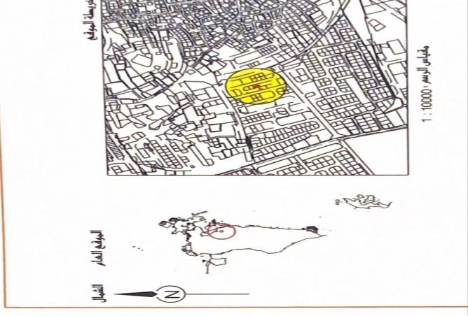 981986 - صورة العقار 3