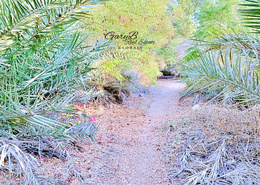 Beautiful Piece of Land | Very Close to Highway