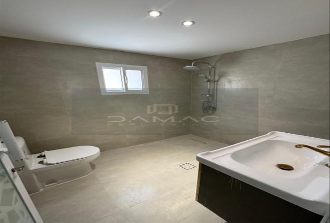 953909 - Property Image 3