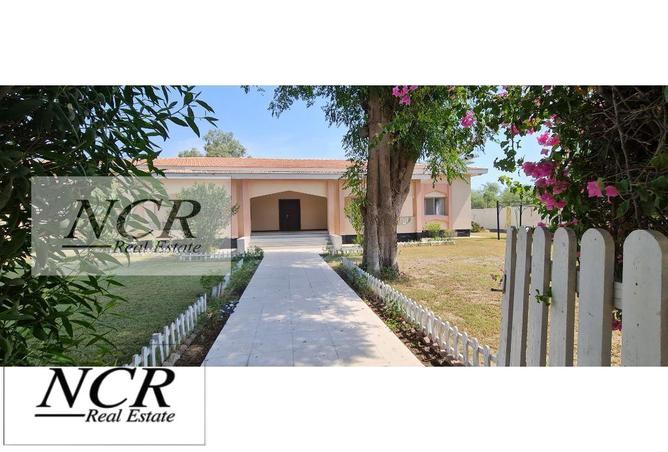 970525 - Property Image 2