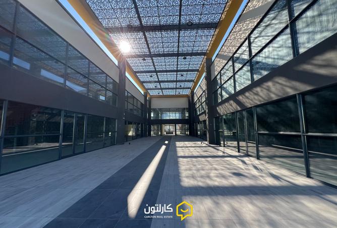 921703 - صورة العقار 2