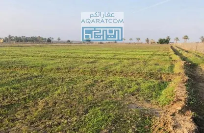 Garden image for: Land - Studio for sale in Hamala - Northern Governorate, Image 1