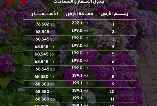 976329 - Property Image 3