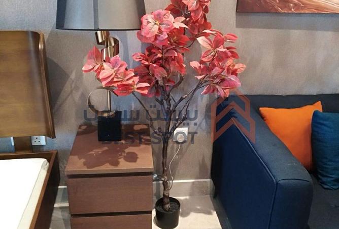 951156 - Property Image 2