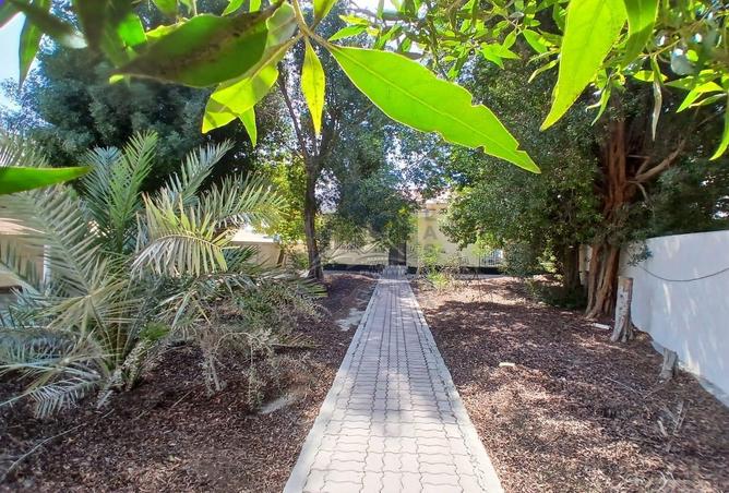 907249 - Property Image 2