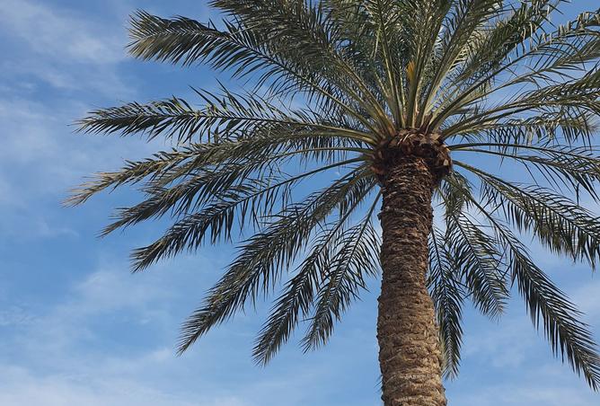 974672 - Property Image 3